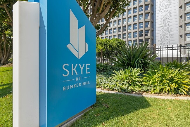 Photo - Skye at Bunker Hill