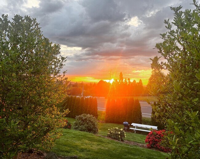 Photo - 11240 SW Barbur Blvd Unidad 09