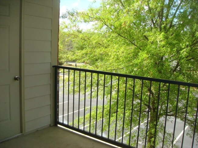 Photo - Available Fall 2026!