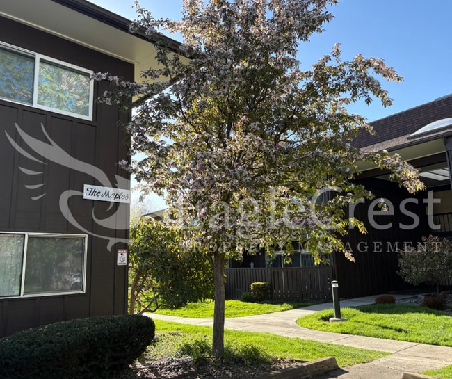 Building Photo - Convenient 3 Bedroom 2 Bathroom Condo Living "In The Trees" with On-Site Amenities