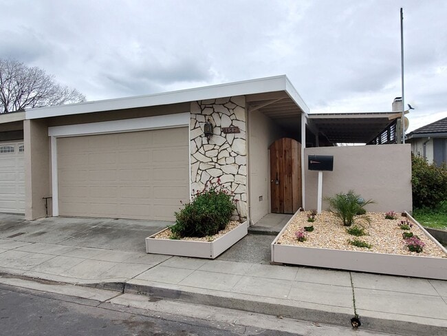 Building Photo - 156 Lonetree Ct