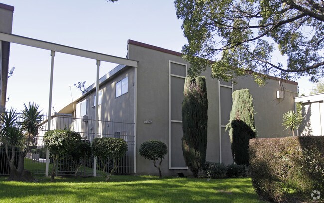 Pinebrook Apartments - Pinebrook Apartments