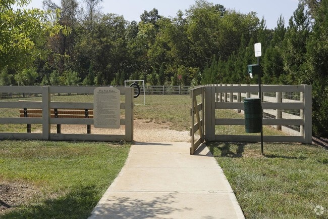 Dog Park