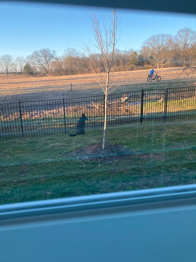 Photo - 4973 Riverbank Dr