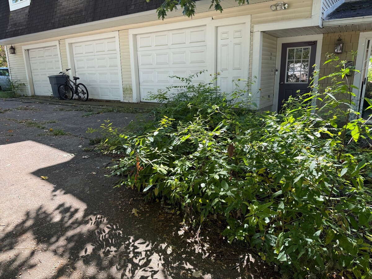 Photo - 297 High St Unit 301