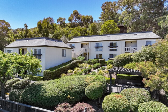 Alternate - Park Hill