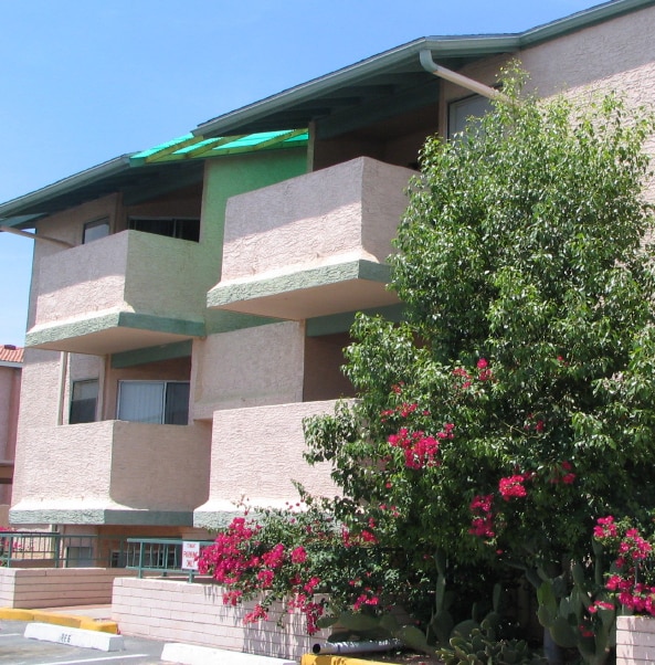 Photo - Olive Tree Vistas