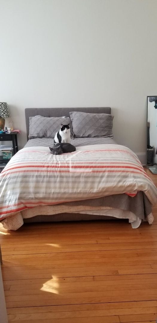 Photo - 8 Bellvista Rd