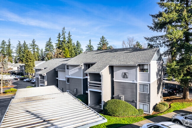 Photo - Veri on Cascade