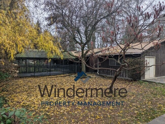 Photo - 203 Hope St