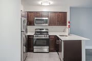 1BR, 1BA - 700SF-Renovated-Kitchen