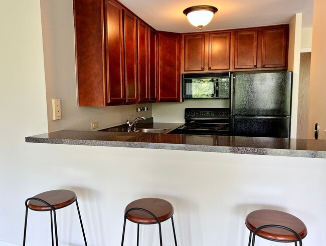 Photo - Bright and Relaxing 3rd floor OPEN CONCEPT 1 Bed / 1 Bath Condo For Rent! In-Unit Washer & Dryer!... Unit 3F