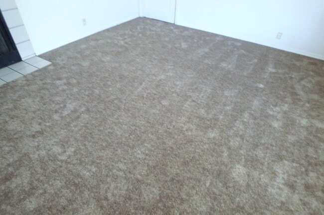 Photo - Oldie But Goodie