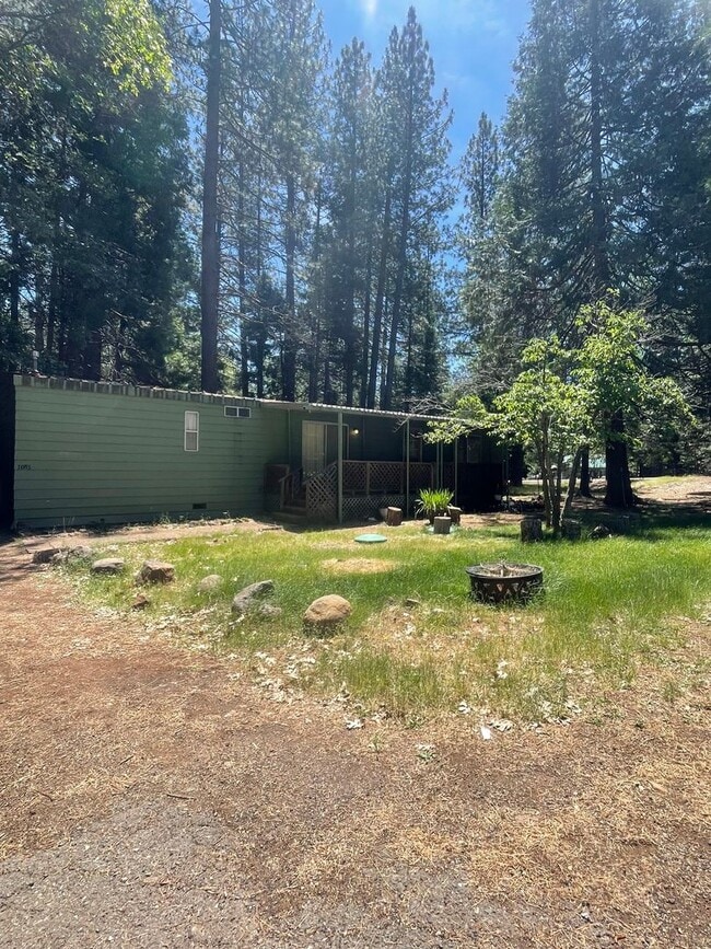Building Photo - SHASTA FOREST VILLAGE / MANUFACTURED 2 BED 2 BATH HOME IN SHINGLETOWN