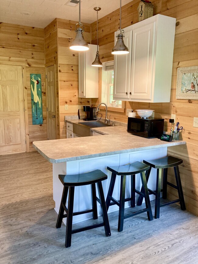 134 Big Pine Rd Rental House Rental in Newberry, SC