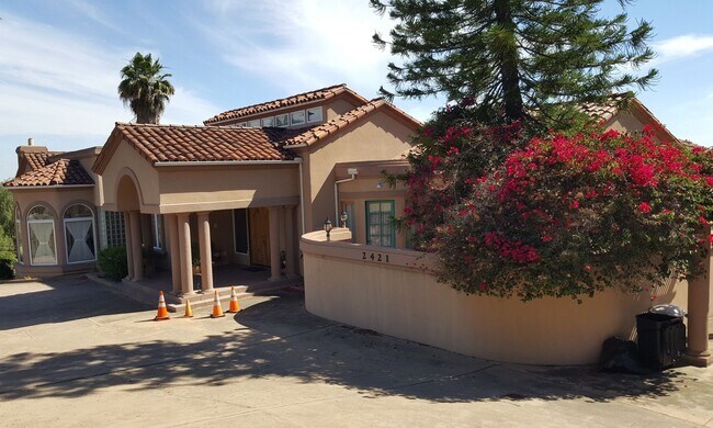 Photo - Studio/Granny Flat with Pool and Plenty of...