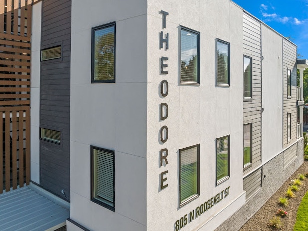 The Theodore