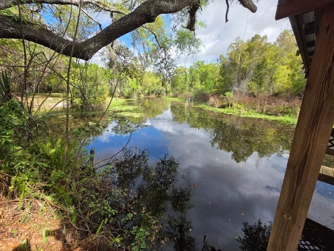 Photo - 16129 County Road 448