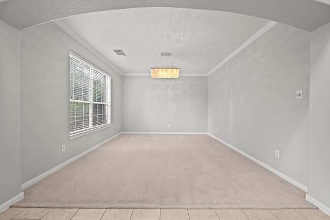 Photo - 42 Ebony Oaks Pl