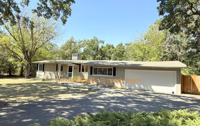 Building Photo - REDUCED ! Sprawling Westside Walnut Creek ... Rental