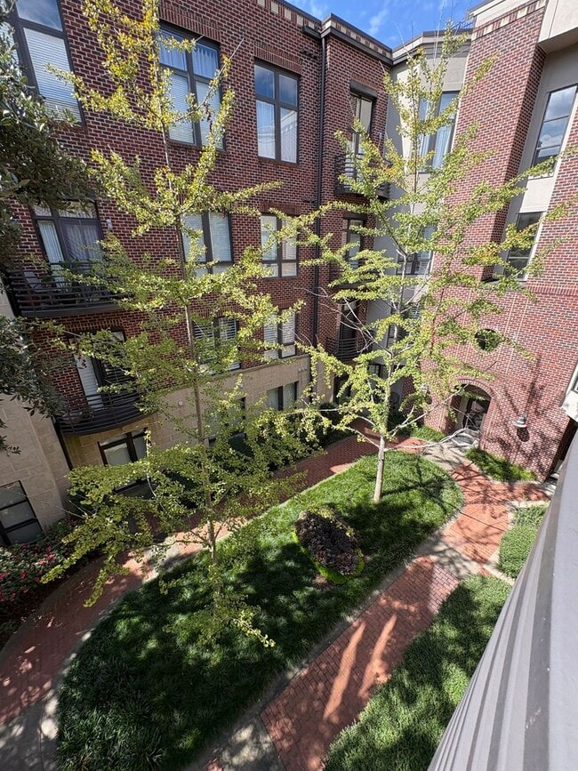 Photo - 1 Bedroom 1 Bath Condo Downtown Greenville...