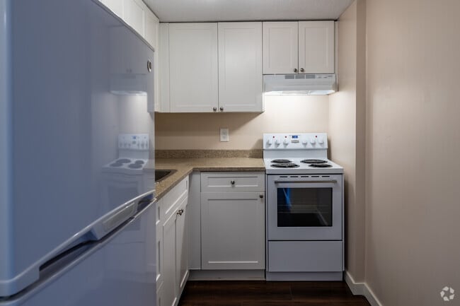 Studio, 1BA - 500SF - Kitchen