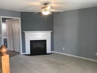 Living Room Fireplace - 2330 Vineyard Dr
