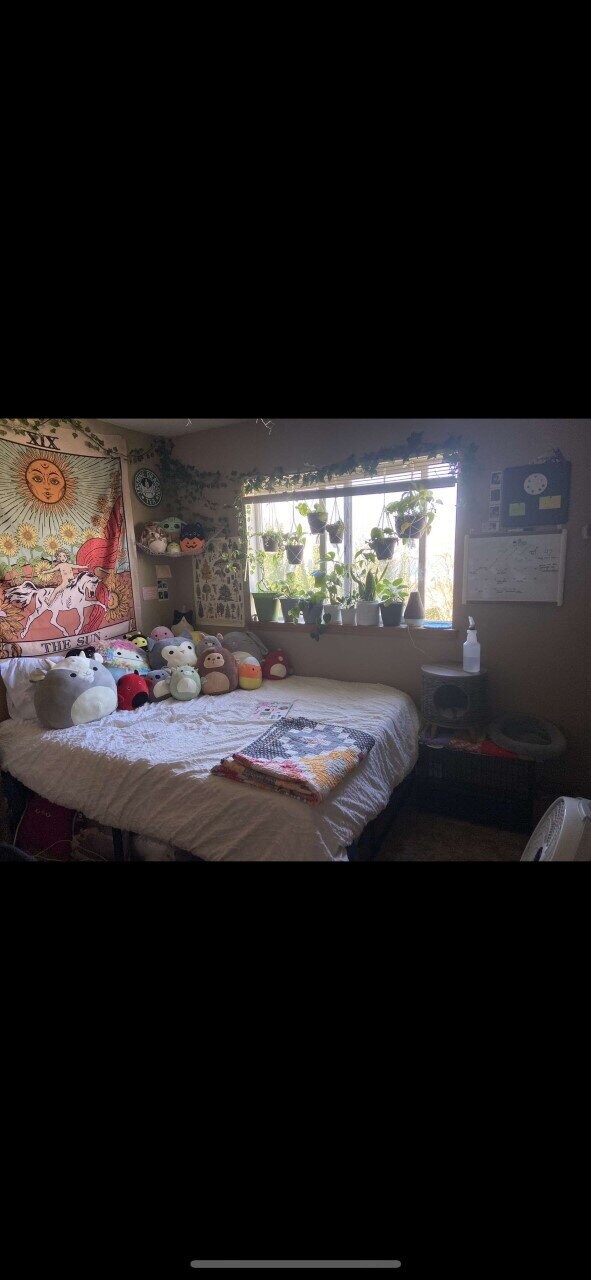 Photo - Steps from Campus, Minutes to Downtown – 4BR Apartment on N Forest St | Pre-Leasing July 2026 Unit #102