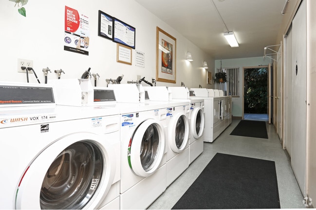 Photo - The Villa Monte Apartments