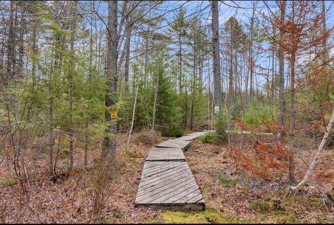 Photo - 813 Norway Rd