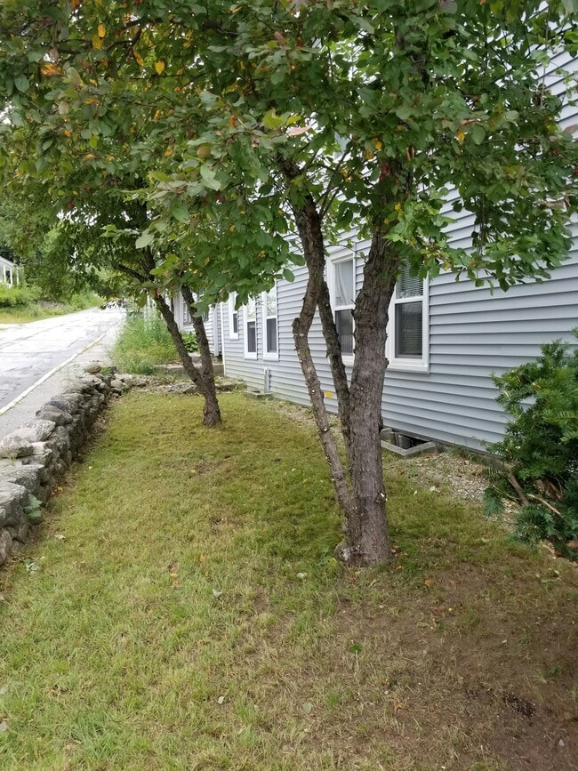 Photo - 1 Vine St Unit 1A