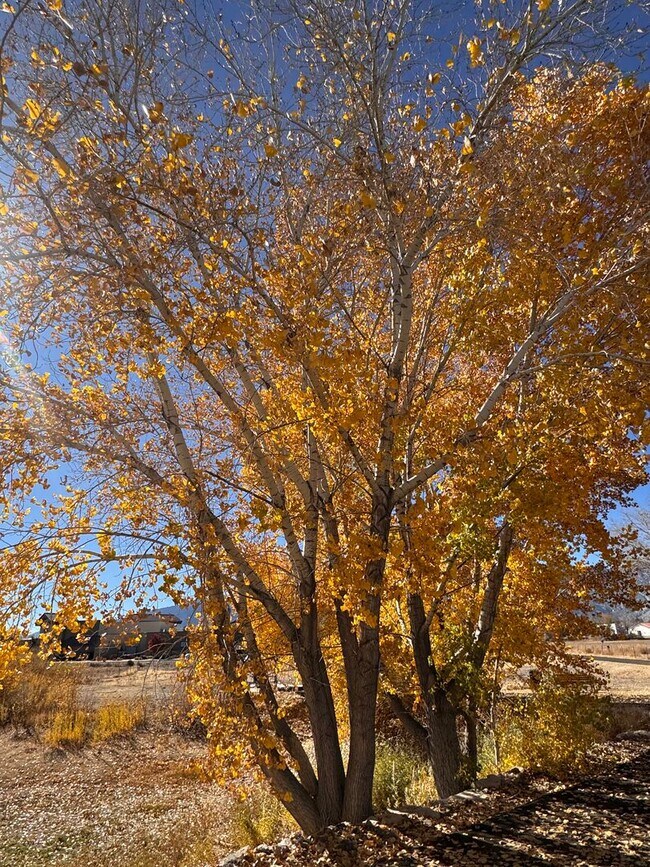 Photo - NEW! 3/2.5/2 Townhome in Gardnerville