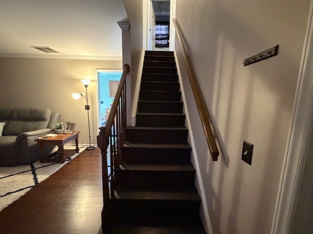 Photo - 115 Edgedale Ct