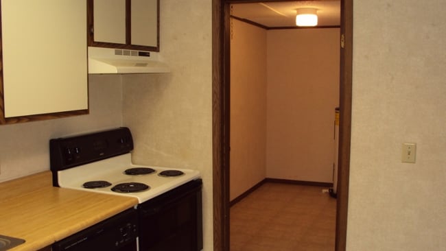 319__800x451_.jpg