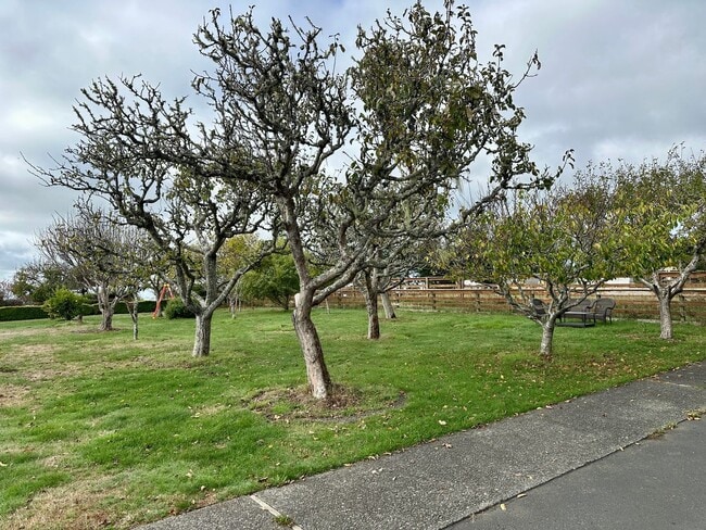 Photo - Furnished Studio Cottage on Peaceful Ranch Property – All Utilities Included