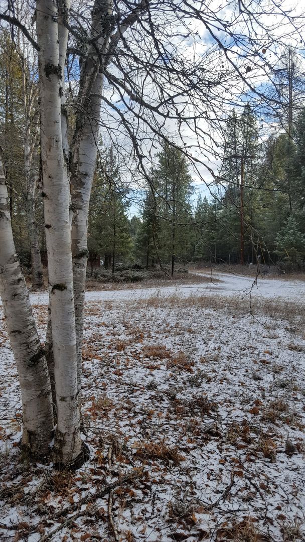 Photo - Serene location with some breathing room!