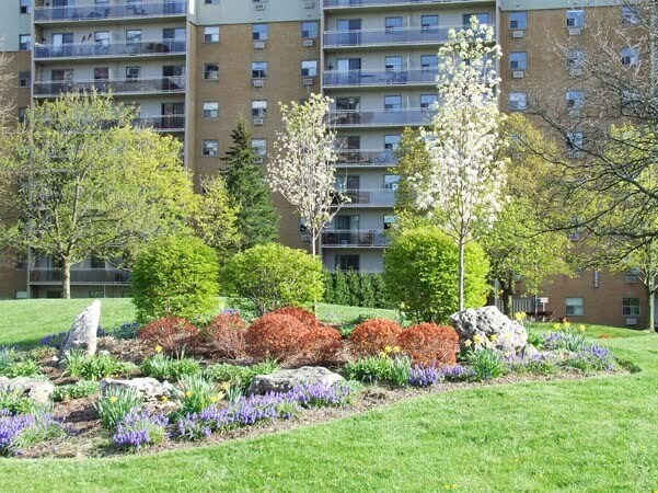 Photo - Fantastic 2 Bdrm * 1.5 Bath * Westmount * Avail March 1st * ALL INCLUSIVE * Unité 1002