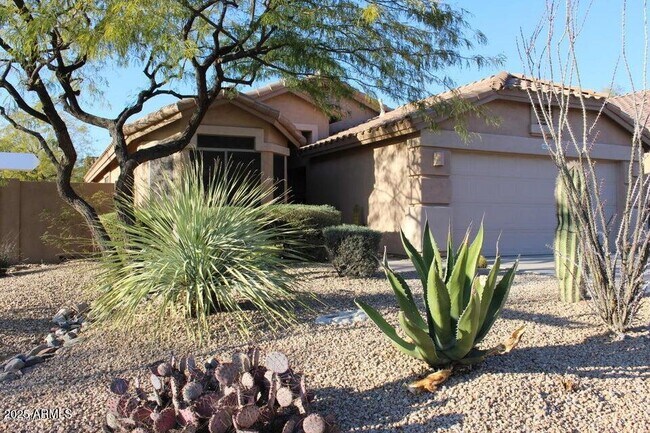 Photo - 10542 E Star of the Desert Dr House