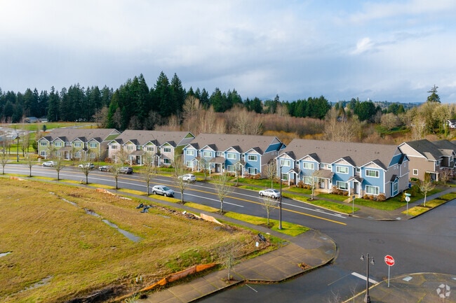 Parkside Executive Townhomes at Briggs
