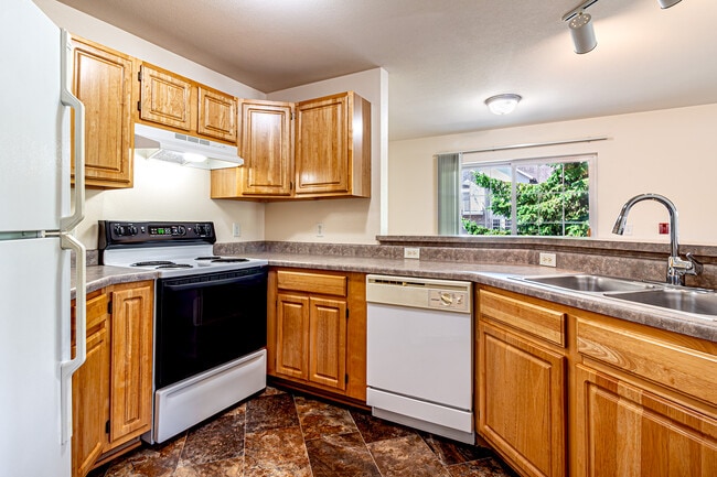 1BD Ash- Kitchen