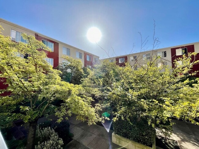 Pearl Court