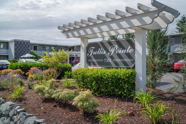 Trellis Pointe Apartments - Trellis Pointe Apartments