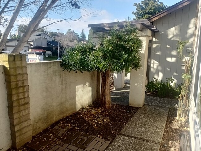 Photo - 107 Petrilli Cir