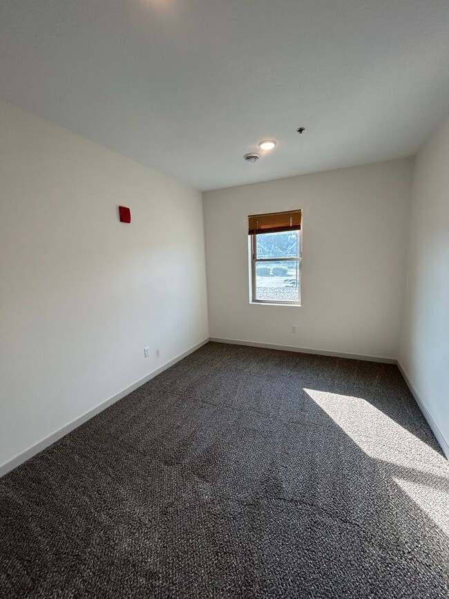 Photo - One-Bedroom Unit at Tiller+Main Unit 207