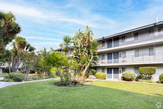 Lexington Courtyard - Lexington Courtyard Apartments