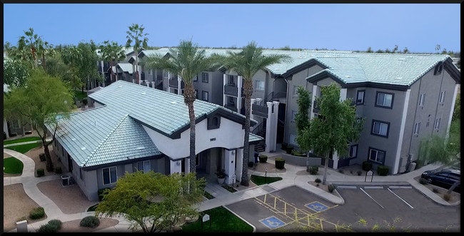 Lindsay Palms