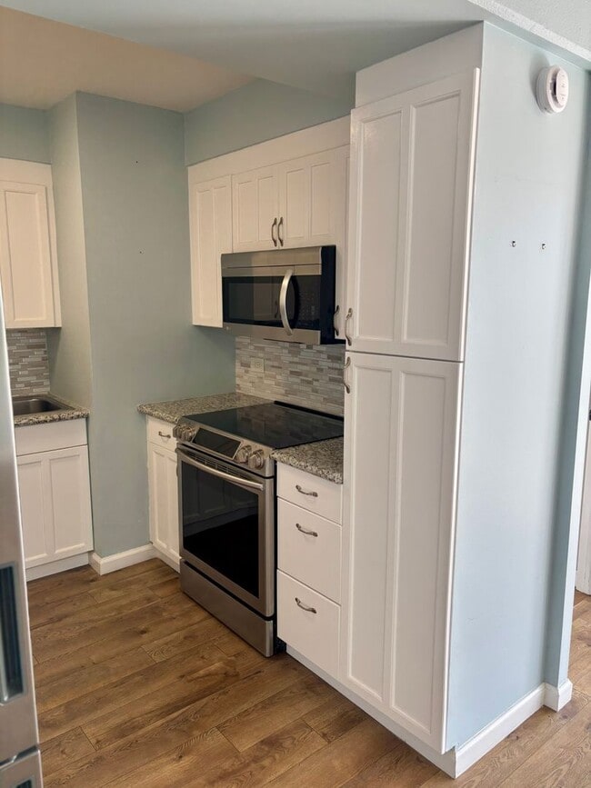 419 Atkinson Drive #1003