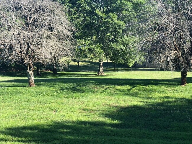 Photo - 3 Bedroom, 2 Bath, All Brick Home, Mt. Juliet Schools