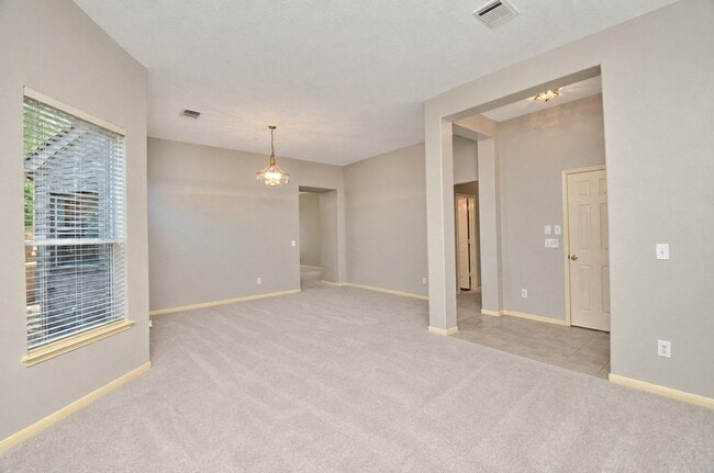 43 S Lace Arbor Dr