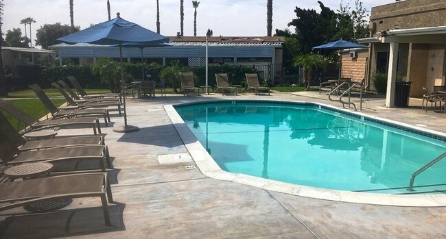 Primary Photo - Las Palmas Estates Apartments
